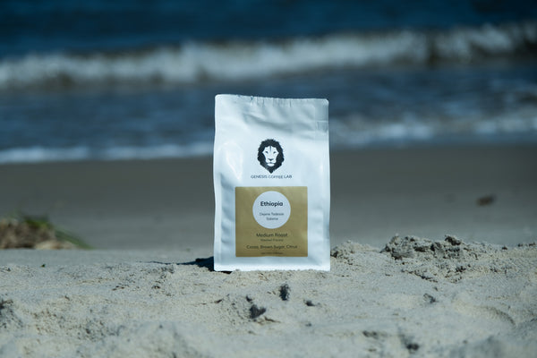Dejene Tadesse Washed Medium - Genesis Coffee Lab