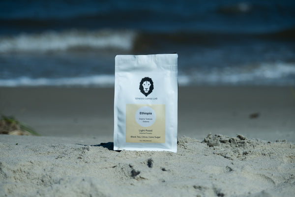 Dejene Tadesse Washed Light - Genesis Coffee Lab