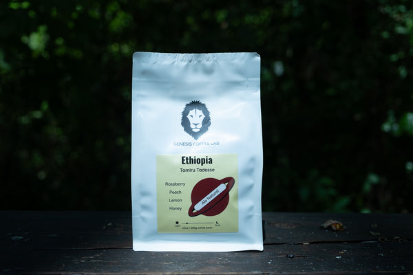 Tamiru Tadesse Alo Natural - Genesis Coffee Lab