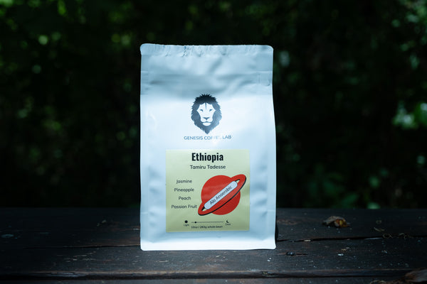 Tamiru Tadesse Alo Anaerobic - Genesis Coffee Lab