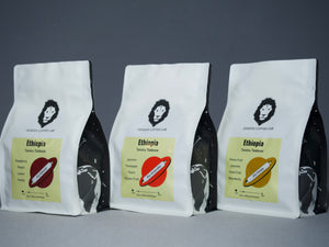 Alo Bundle - Genesis Coffee Lab