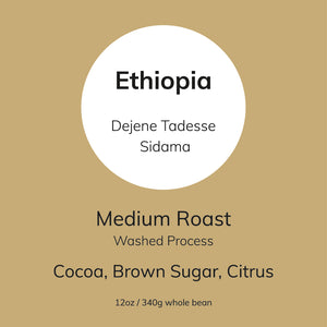 Dejene Tadesse Washed Medium - Genesis Coffee Lab